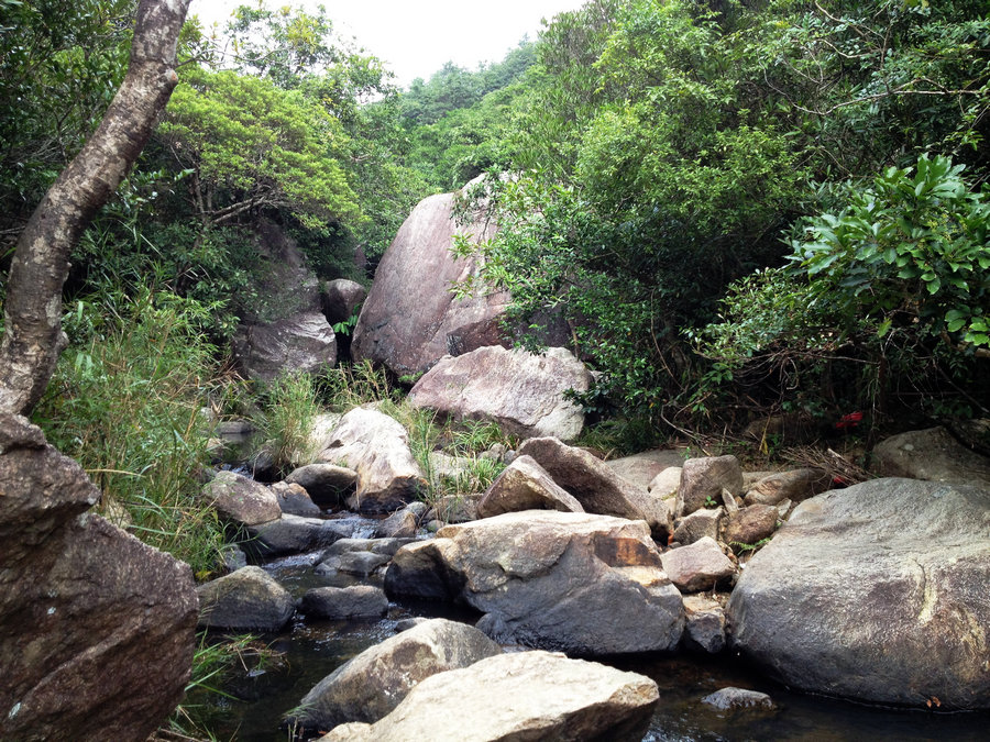 参加名优电子马峦山登山活动.